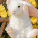 869璃的頭像-玖兒的學習筆記